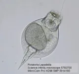 mikroskop-bresser-science-infinity-40x-1000x-stan-nowy-kod-producenta-4007922030791