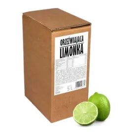 sok-z-limonki-100percent-sadvit-5l-orzezwiajaca-limonka-z-limonek-limonkowy