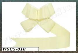 wstazka-sciagana-5cm-10szt-kremowa-wsc5-010