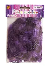 piorka-dekoracyjne-fioletowe-purpurowe-nakrapiane-3g-pn-08-piora