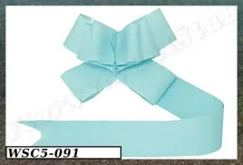 wstazka-sciagana-5cm-10szt-blekitna-wsc5-091