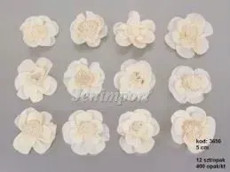 kwiat-wybielany-shola-potea-5cm-12szt-suszpotea-5cm