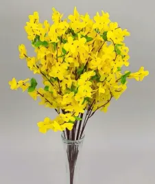 galazki-forsycji-wys-54cm-12sztuk-wlk16