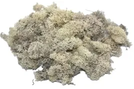 mech-chrobotek-reniferowy-premium-100g-bialy-mech100g-001