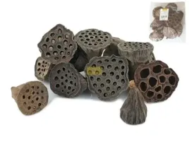 suszony-owoc-lotos-maly-srednica-4-6cm-12szt-lotos4-6