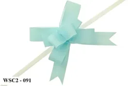 wstazka-sciagana-szer-2cm-25szt-blekitna-wsc2-091