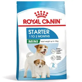 royal-canin-sucha-karma-dla-psa-shn-mini-starter-mandb-1kg