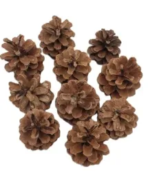 szyszka-lesna-duza-7-cm-200g-ok10-12-szt-naturalna-szyszka-lesna