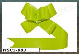 wstazka-sciagana-5cm-10szt-seledynowa-wsc5-083