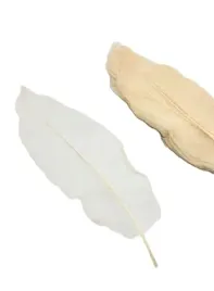 lisc-preparowany-szkieletowy-ok-48szt-wybielane-liscprep-magnolia