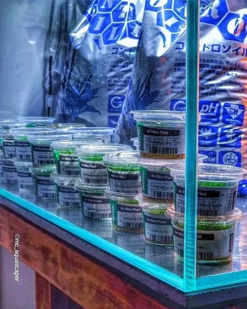 controsoil-3l-normal-substrat-japonski-marka-invital-rodzaj-naturalne