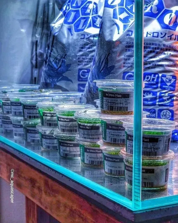 controsoil-3l-normal-substrat-japonski-marka-invital