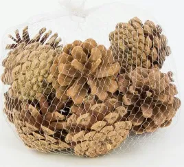 szyszki-szyszka-sosnowa-naturalna-5x6cm-12szt-sz02-xy18-01
