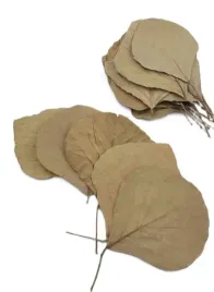 lisc-cobra-12-15-cm-naturalne-24-szt-opak-lisc-cobra