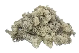 mech-chrobotek-reniferowy-premium-20g-bialy-mech20g-001