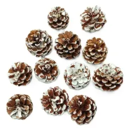 szyszki-naturalne-osniezone-6-cm-12-sztuk-xx26-01