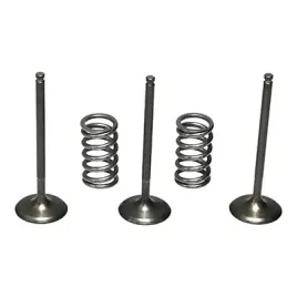 prox-zestaw-zaworow-ssacych-stalowych-sprezyny-yz450f-03-09-wr450f-03-15