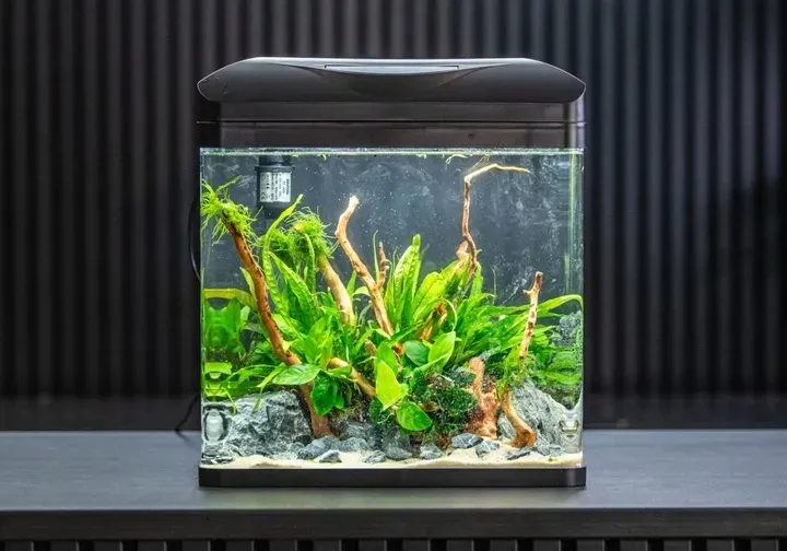 invital-easytank-pro-led-30l-czarny-ksztalt-prostokatne