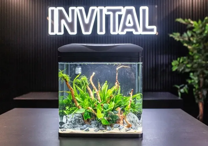 invital-easytank-pro-led-30l-czarny