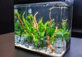 invital-easytank-pro-led-30l-czarny-grubosc-szkla-1-mm