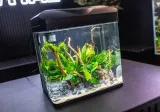invital-easytank-pro-led-30l-czarny-stan-opakowania-oryginalne