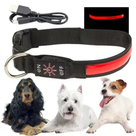 obroza-spacerowa-dla-psa-led-swiecaca-w-ciemnosci-ladowana-usb-m-32-40cm