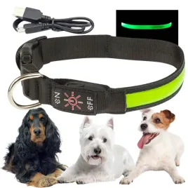 obroza-spacerowa-dla-psa-led-swiecaca-w-ciemnosci-ladowana-usb-m-32-40cm