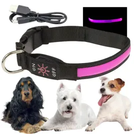 obroza-spacerowa-dla-psa-led-swiecaca-w-ciemnosci-ladowana-usb-m-32-40cm