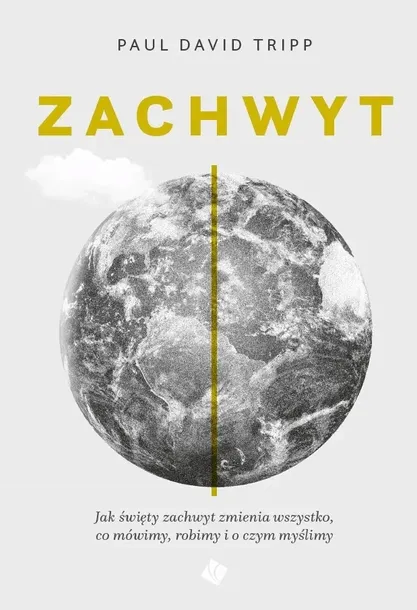 zachwyt-stan-nowy