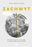 zachwyt-stan-nowy