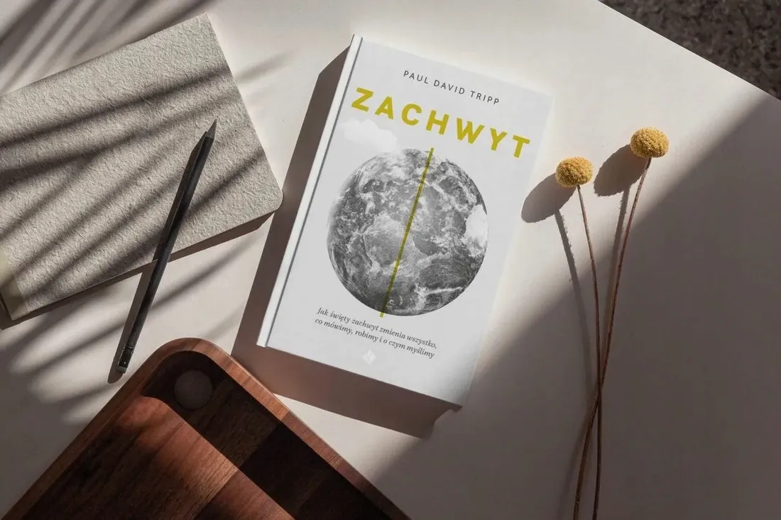 zachwyt-stan-nowy