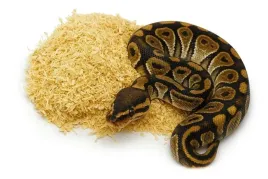 lignocel-podloze-dla-weza-zbozowego-sciolka-do-terrarium-20l-safe-3-4