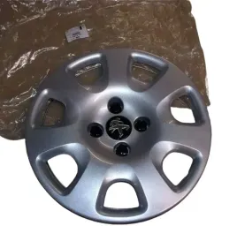 kolpak-peugeot-308-07-partner-08-15-5416t5
