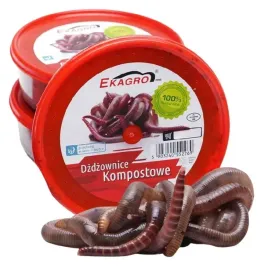 300szt-kompostowe-dzdzownice-kalifornijskie