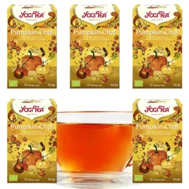 ajurwedyjska-herbata-pumpkin-chai-z-dynia-i-pomarancza-bio-323g-yogi-tea