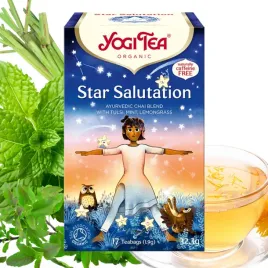 herbata-yogi-tea-star-salutation-17x19g