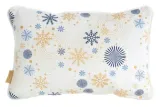 sw-carol-chp-04-30x45-gran-kolor-bialy