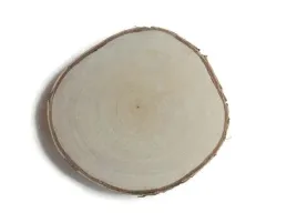 plastry-drewniane-brzoza-suche-krazek-15-20cm-szlifowane