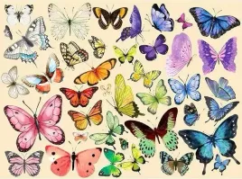 puzzle-ce-tradycyjne-1000-elementow-motyle-kolorowe