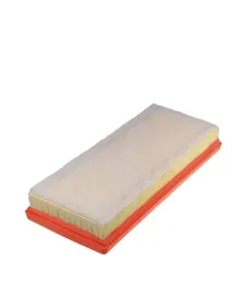 filtr-powietrza-filtron-ap-195-2-c-2716
