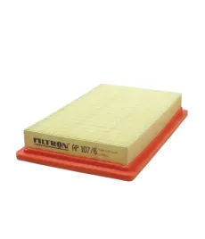 filtr-powietrza-filtron-ap-107-6-c-28005