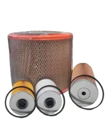 zestaw-filtrow-bizon-filtron