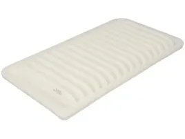 filtr-powietrza-filtron-ap-113-5c-30-020