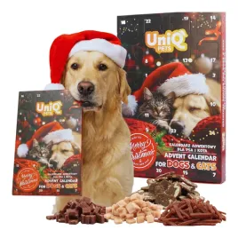 kalendarz-adwentowy-dla-psa-ze-smaczkami-na-kazdy-dzien-idealny-na-swieta