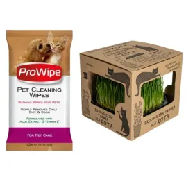 zestaw-ekologiczna-trawka-dla-kota-chusteczki-nawilzane-kot-i-pies