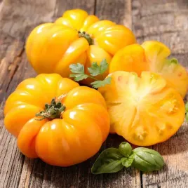 pomidor-ananasowy-pineapple-duze-soczyste-pomidory