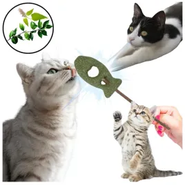 rybka-matatabi-tomi-stick