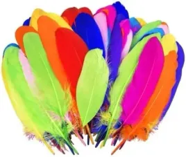 piora-piorka-naturalne-kolorowe-do-dekoracji-diy-100szt