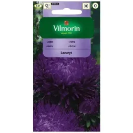 vilmorin-aster-lazuryt-05g-nasiona-fioletowe-wysoki-kwiaty-na-rabaty