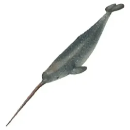narwal-jednozebny-zoolandia-figurka-kolekcjonerskie-swiat-zwierzat